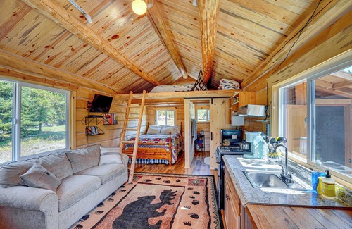Trout Creek Apartment | Trout Creek Tiny House w/Mtn Views & Fireplace