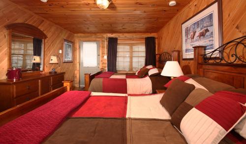 Main Brook Cabin | Tuckamore Lodge