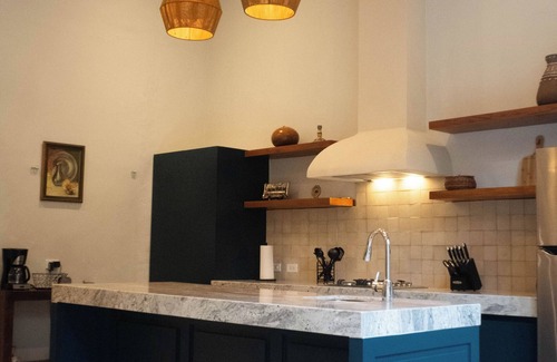 Centro House | Tulip House