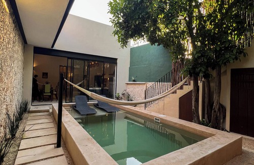 Centro House | Tulip House