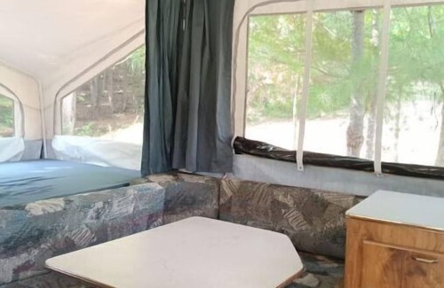Cosby House | Turkey Knob: Pop-up in the Great Smoky Mountains