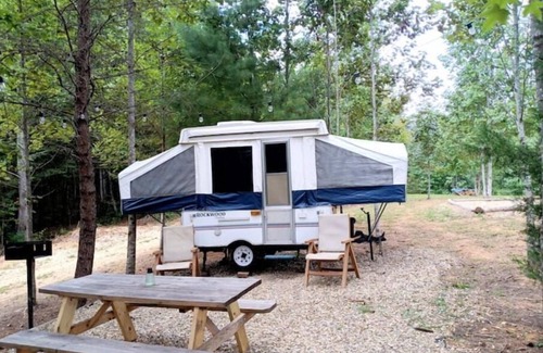 Cosby House | Turkey Knob: Pop-up in the Great Smoky Mountains