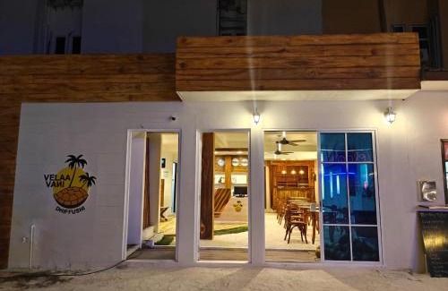 Dhiffushi Hotel | Turtle Hive - Velaa Vani