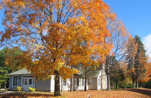South Hampton Other | Tuxbury Pond Camping Resort Tiny House Riley