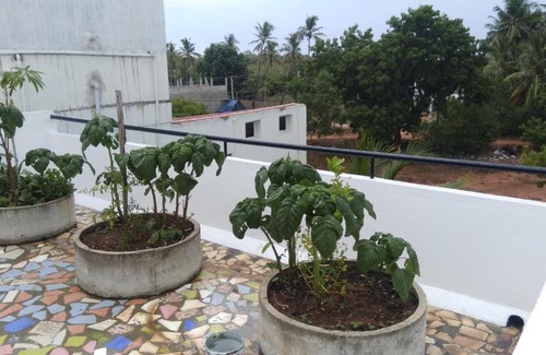 Auroville House | TwinsBird