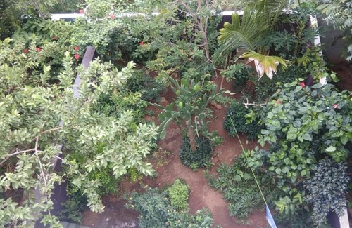 Auroville House | TwinsBird