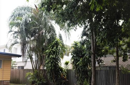 Torquay Apartment | TwoSingle Bed Studio Apartment in HerveyBay