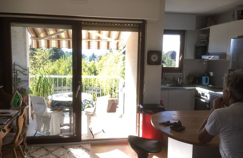 Annecy-le-Vieux Apartment | Type 2 with facing south terrace overlooking Lake Annecy at 300 meters