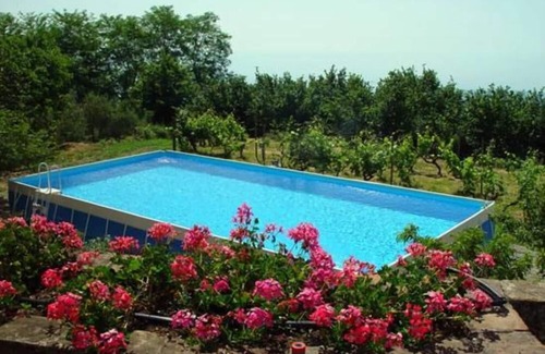 Milo Villa | Typical charming villa surrounded by nature and old trees
