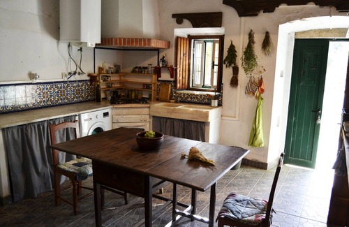 Estremoz Other | Typical farm in cork and holm oak woods