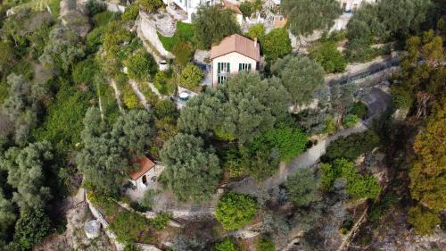 Vallebona Apartment | U Ciousu by Ligurian Life APPARTAMENTI IN AGRITURISMO