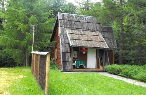 Lutowiska House | U Eskulapa