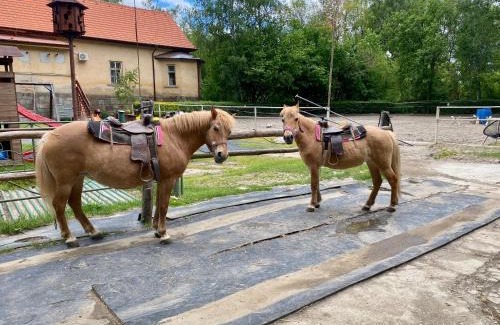 Kladruby Apartment | Ubytování na farmě