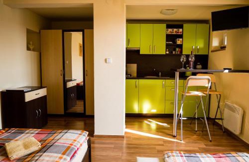 Uherske Hradiste Apartment | Ubytování ve Vinařství Medek | Medek House & Winery