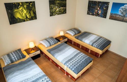 Uherske Hradiste Apartment | Ubytování ve Vinařství Medek | Medek House & Winery