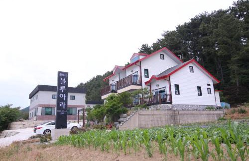 Uljin House | Uljin blue ara A pension