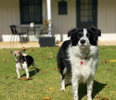 Penola House | Ulva Cottage - Historical BnB