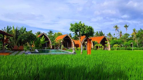 Goris Resort | Umma Bali Menjangan Retreat