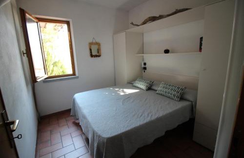 Chiessi House | Un salto nel blu