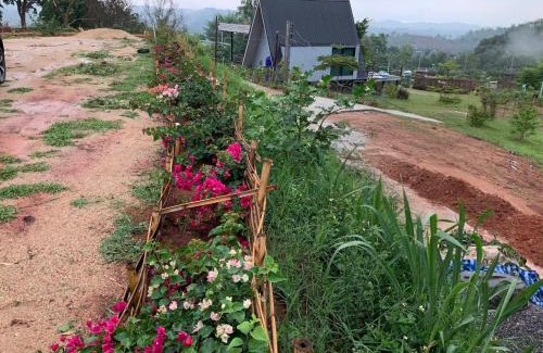 Samut Sakhon Ski Chalet | Uncle Ong's Homestay at Khao Kho