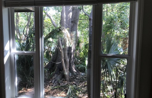 Historic Downtown Apalachicola House | Unique House in wooded lot. This is a WOW! Nothing like it!