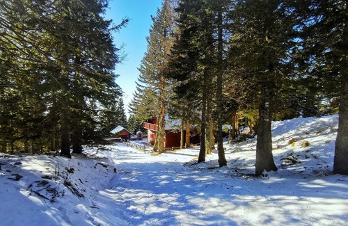 Ambroz pod Krvavcem Apartment | Unique location - ski slope just 10 meters from the appartment!