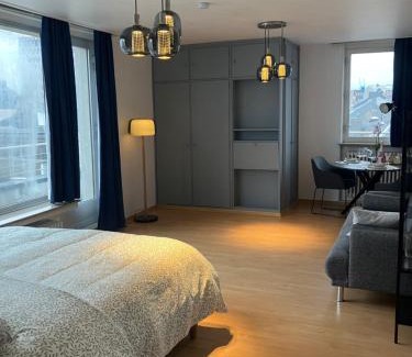 Ville Haute Apartment | Unique Penthouse Joseph II von Habsburg 1-4 personnes à coté de Louis Vuitton