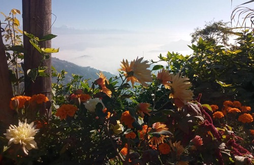 Baluwapati Deupur Hotel | Unique point home stay