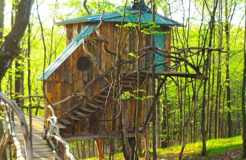 West Pawlet House | Uniquely Crafted Tree House Rental near Lake Saint Catherine, Vermont