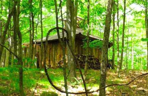 West Pawlet House | Uniquely Crafted Tree House Rental near Lake Saint Catherine, Vermont