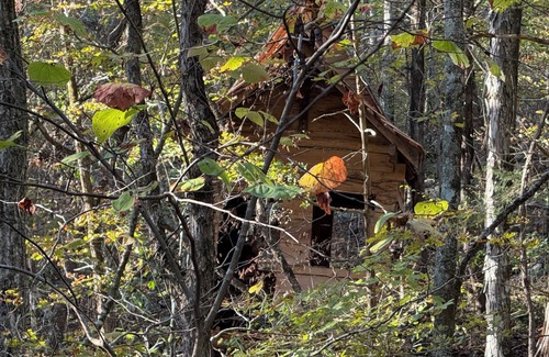 South Pittsburg Cabin | Unplug and hide from the world in this rustic South Pittsburg cabin