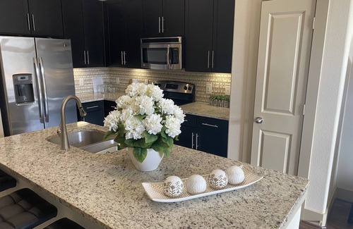 Astrodome Apartment | Upscale luxury apartments units near Nrg Stadium Medical center Downtown Museum.