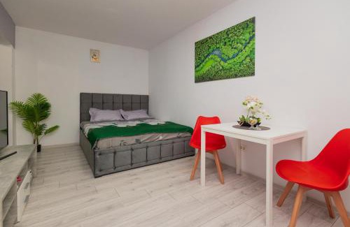 Arad Apartment | Urban Escape Arad