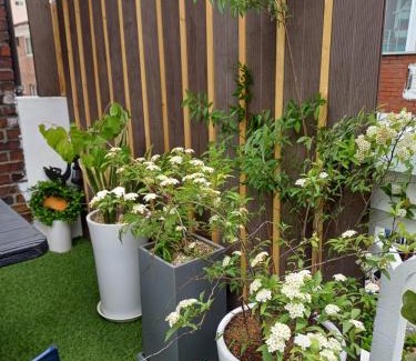 Suwon Apartment | Urban timber