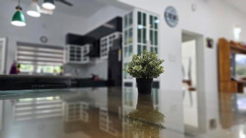 Udumbanchola Apartment | Uthuppan's first floor 2brm