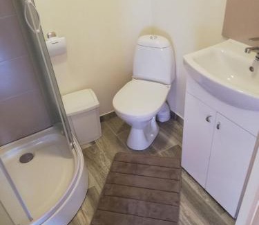 Panevezys county Apartment | VĖJO16