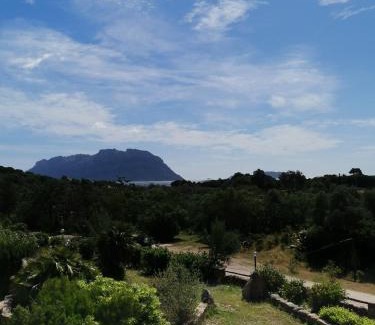 Porto Istana House | Vacanze da sogno a pochi km. da Olbia