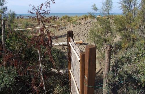 Val Canina House | Vacanze Toscane In The Country - Villa Agrifogli