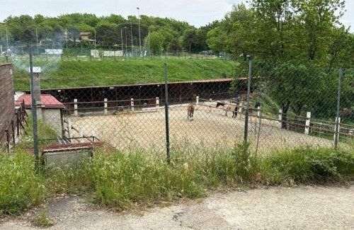 Giugnano House | Vacanze toscane Relax privacy