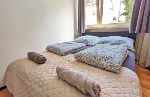 Villingen-Schwenningen Apartment | Vacation Apartment Near The Black Forest