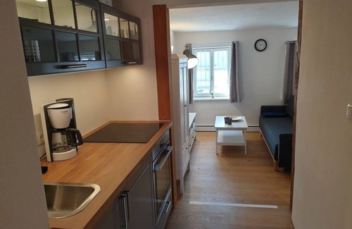Rattelsdorf Apartment | Vacation apartment/apartment for 3 guests with 35m² in Rattelsdorf (146071)