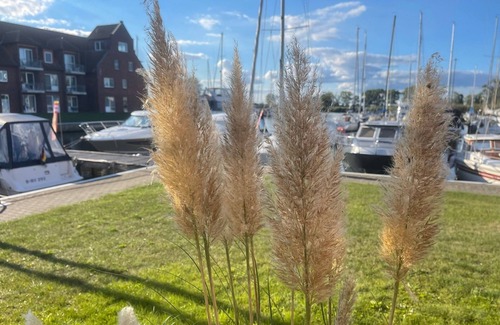 Ueckermuende Apartment | Vacation apartment/apartment for 2 guests with 25m² in Ueckermünde (55065)