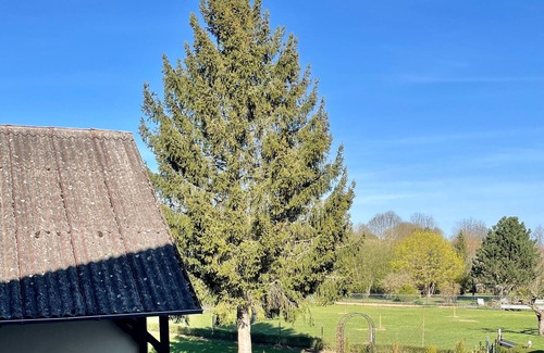 Wittighausen Apartment | Vacation apartment/apartment for 4 guests with 46m² in Wittighausen (173588)