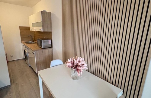Drewer-Sud Apartment | Vacation apartment Ilana