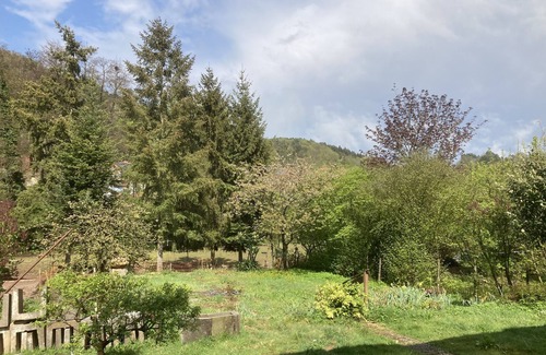 Silz Apartment | Vacation apartment in the middle of the Palatinate Forest. Good starting point for many activities