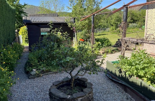 Hasenfeld House | Vacation home for 4 guests with 90m² in Heimbach (264934)