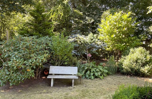 Bordelum House | Vacation home for 6 guests with 100m² in Dörpum (175388)