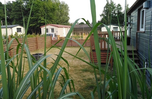 Visselhoevede House | Vacation home for 2 guests with 40m² in Visselhövede (153706)