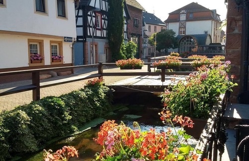 Annweiler am Trifels Apartment | Vacation in Annweiler - 4-bed apartment