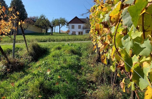 Eberau Apartment | Vacations in the vineyard - an idyllic retreat in the heart of the Uhudler region